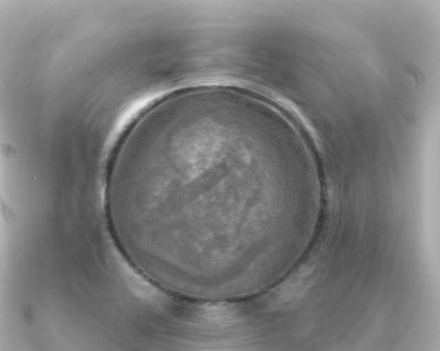 X0000091351416200708101521