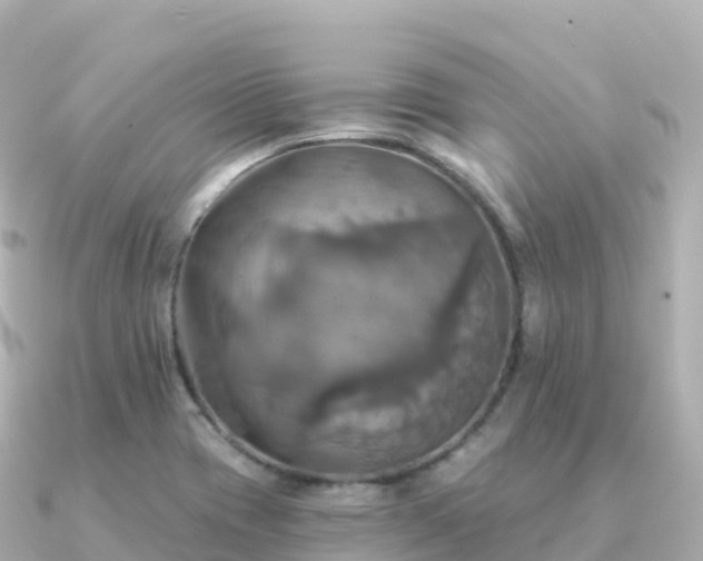 X0000091351417200708101521