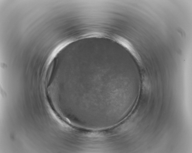X0000091351418200708101521
