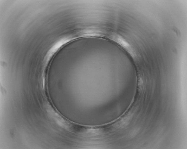 X0000091351419200708101521