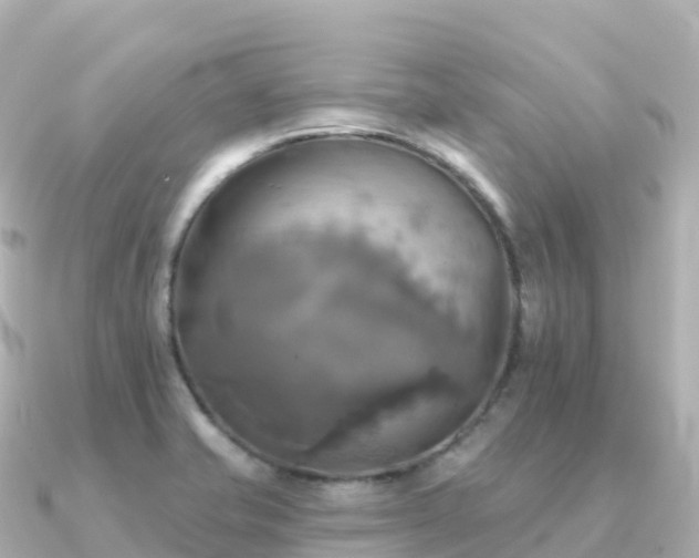 X0000091351421200708101521