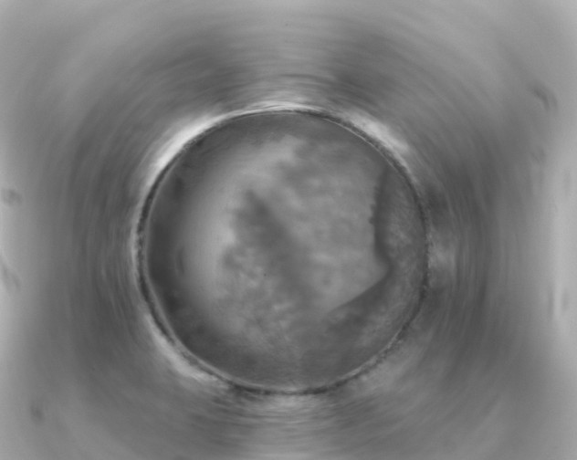X0000091351423200708101521