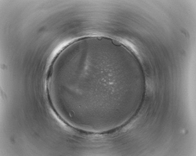 X0000091351424200708101521