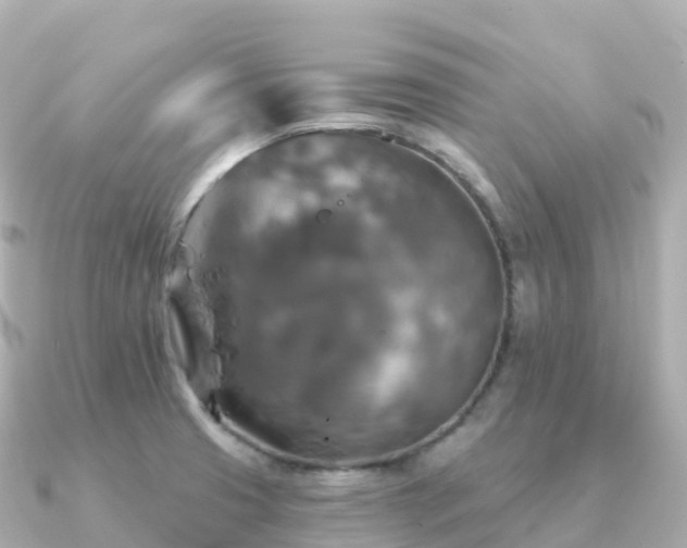 X0000091351425200708101521