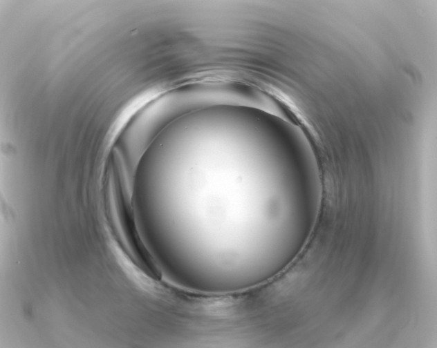 X0000091351426200708101521