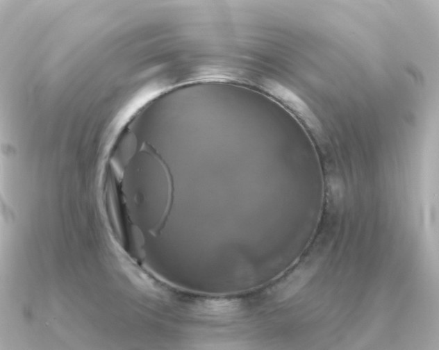 X0000091351427200708101521