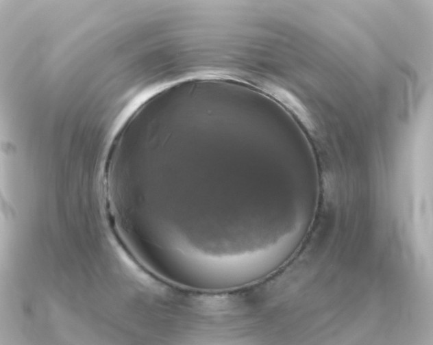 X0000091351428200708101521