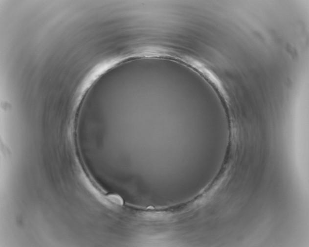 X0000091351429200708101521