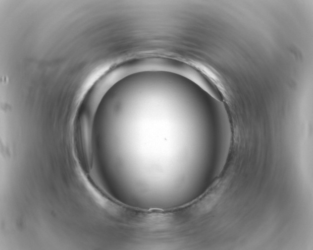 X0000091351430200708101521