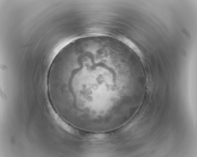 X0000091351431200708101521