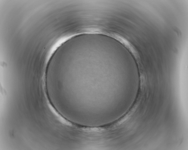 X0000091351432200708101521