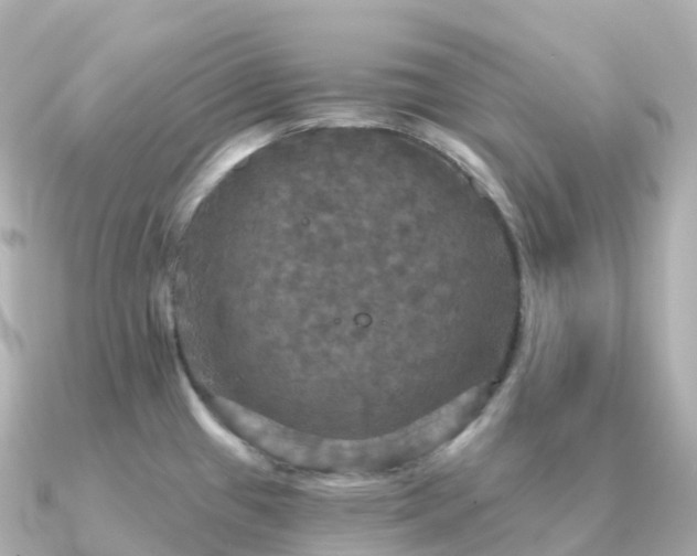 X0000091351433200708101521