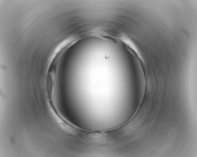 X0000091351434200708101521