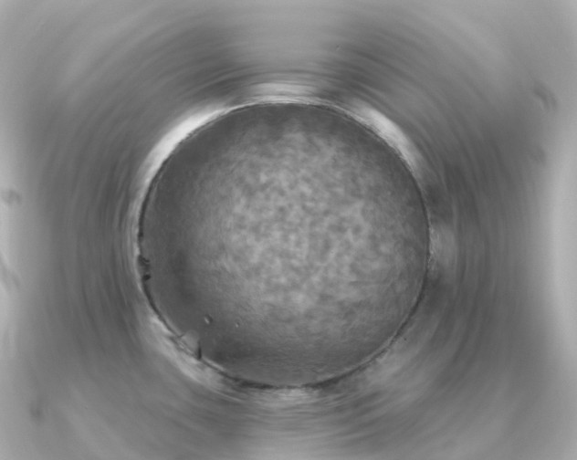 X0000091351435200708101521