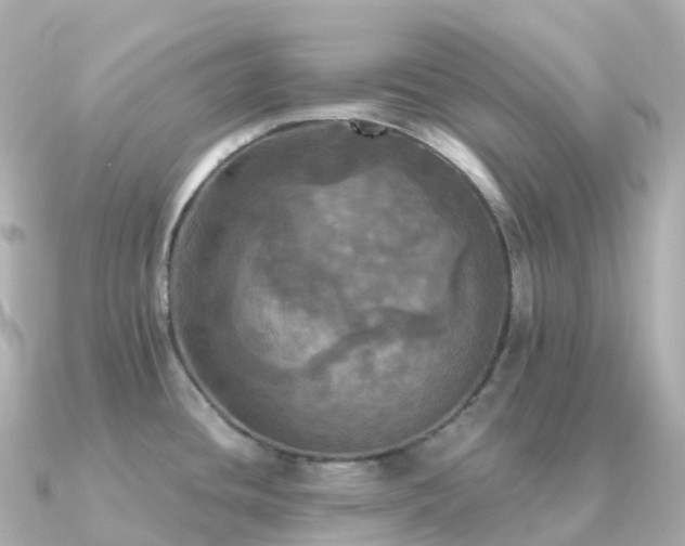 X0000091351436200708101521