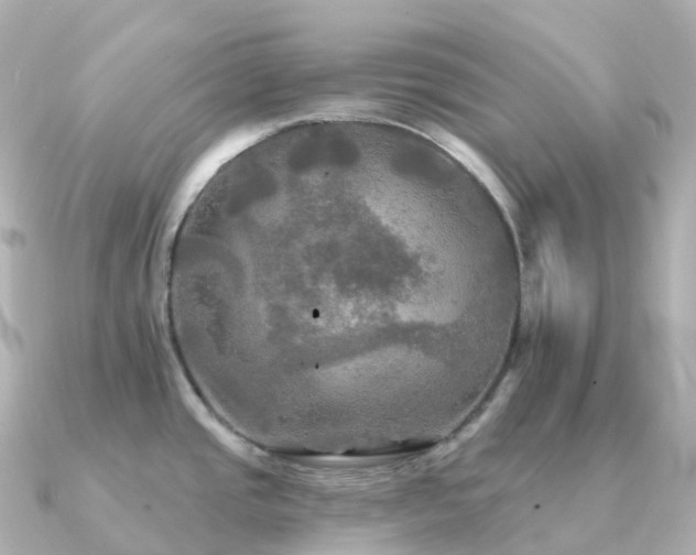 X0000091351437200708101521