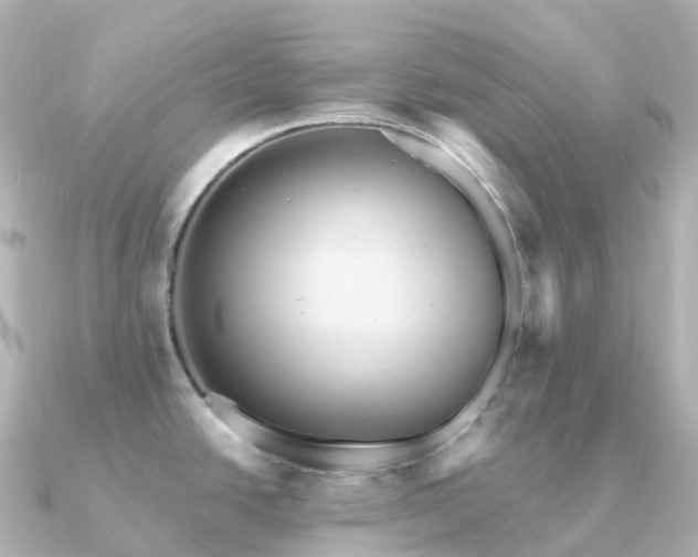 X0000091351438200708101521
