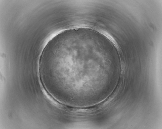 X0000091351439200708101521