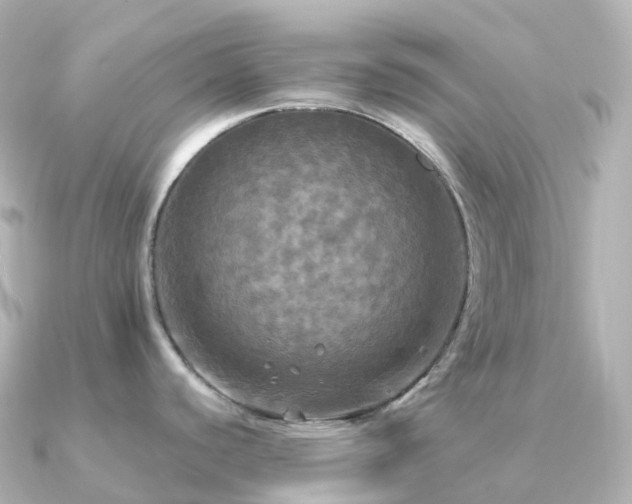 X0000091351440200708101521