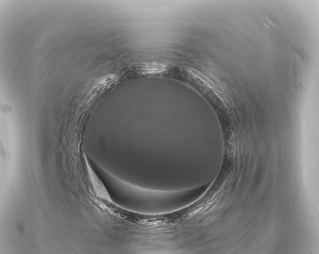 X0000091351441200708101521