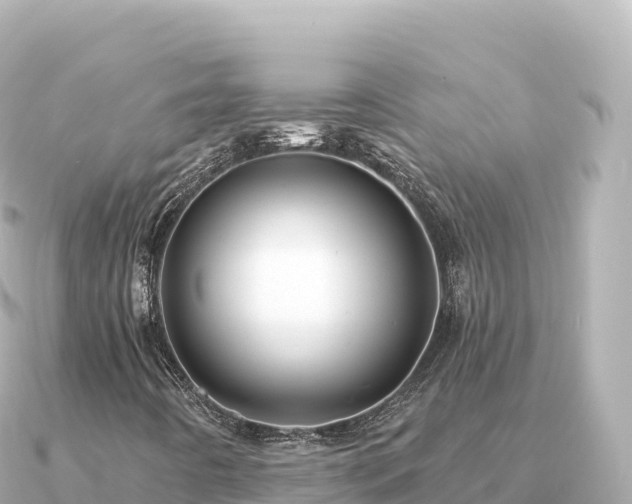 X0000091351442200708101521