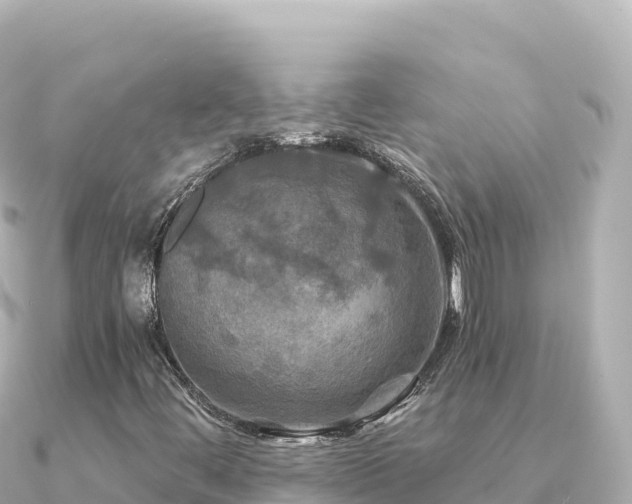 X0000091351444200708101521