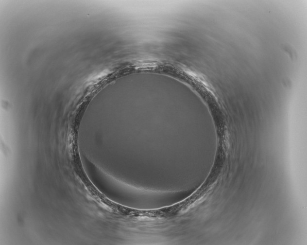 X0000091351445200708101521