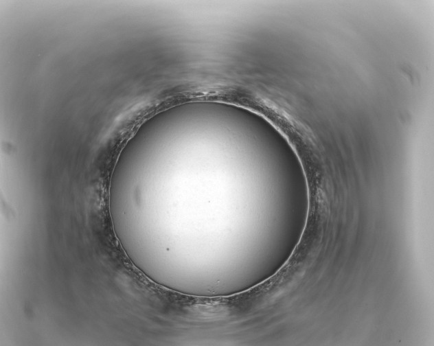 X0000091351447200708101520
