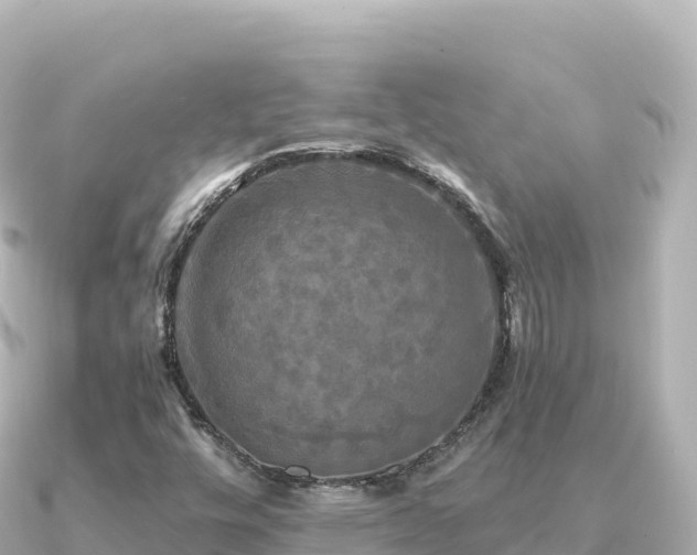 X0000091351448200708101520