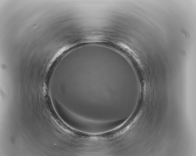 X0000091351449200708101520