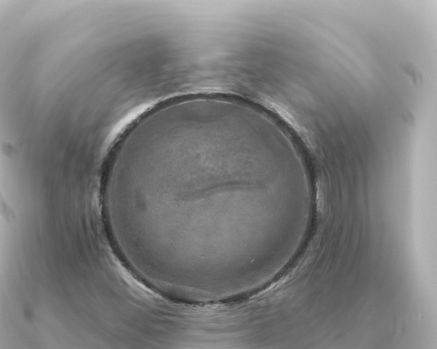 X0000091351452200708101520
