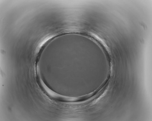 X0000091351453200708101520