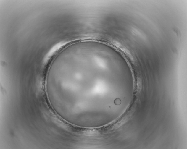X0000091351454200708101520