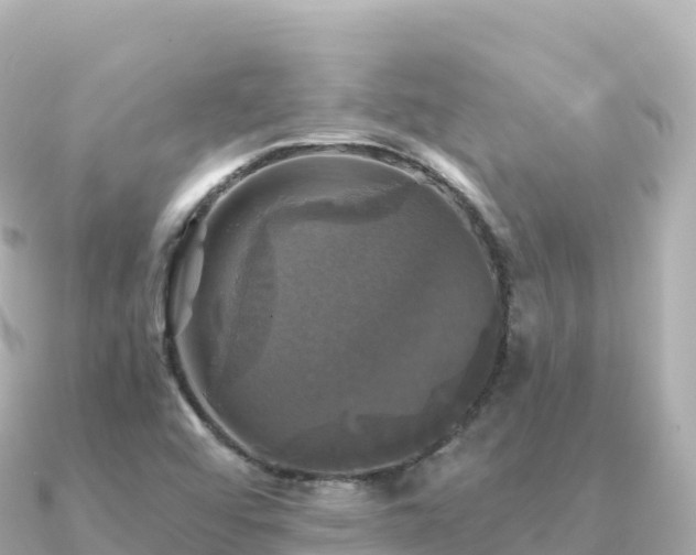 X0000091351456200708101520