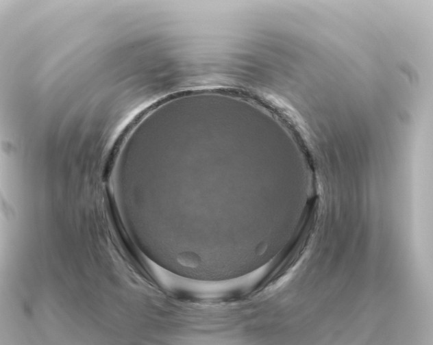 X0000091351457200708101520