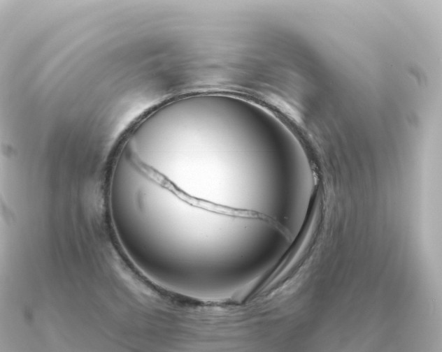 X0000091351458200708101520