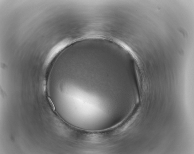 X0000091351461200708101520