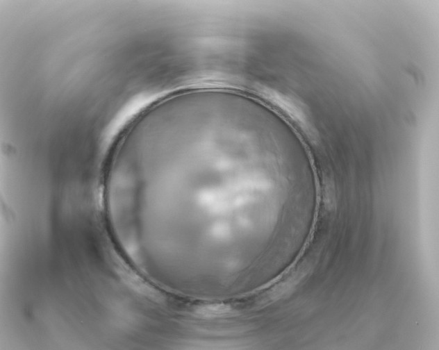 X0000091351462200708101520