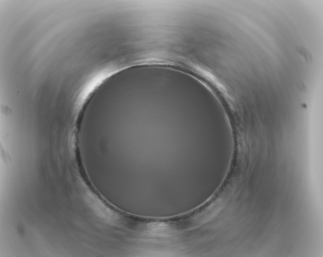 X0000091351463200708101520