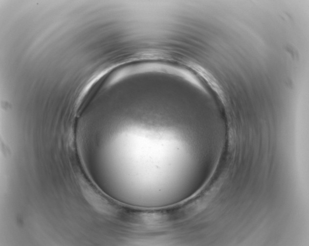 X0000091351465200708101520