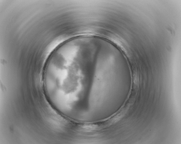 X0000091351466200708101520