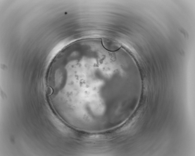 X0000091351467200708101520