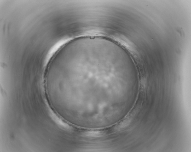 X0000091351470200708101520