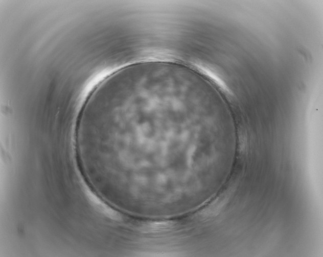 X0000091351471200708101520