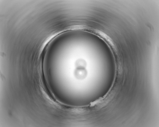 X0000091351473200708101520