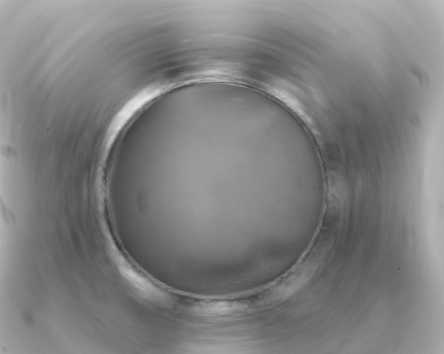 X0000091351474200708101520