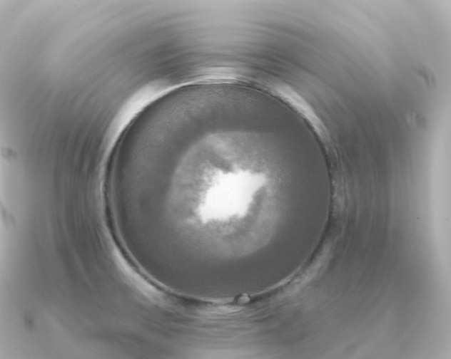X0000091351475200708101520