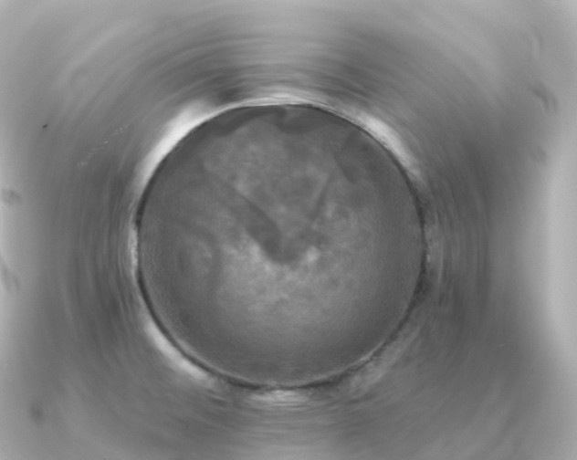 X0000091351476200708101520