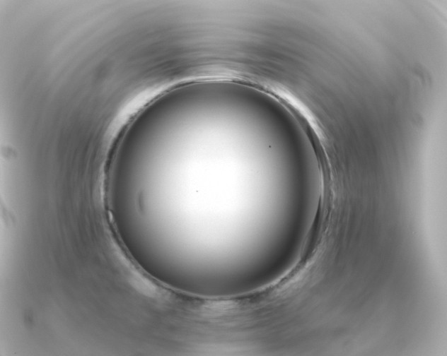 X0000091351477200708101520