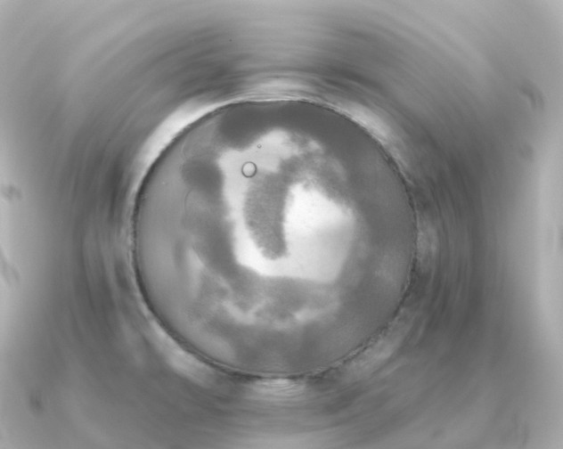 X0000091351478200708101520